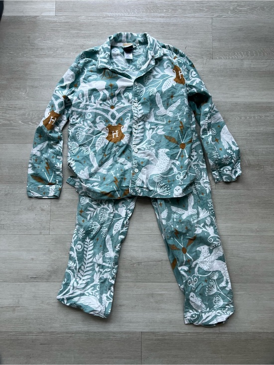 Pottery Barn Other - Warner Bros. Teal Green Woodland Animal Kids Pajama Set